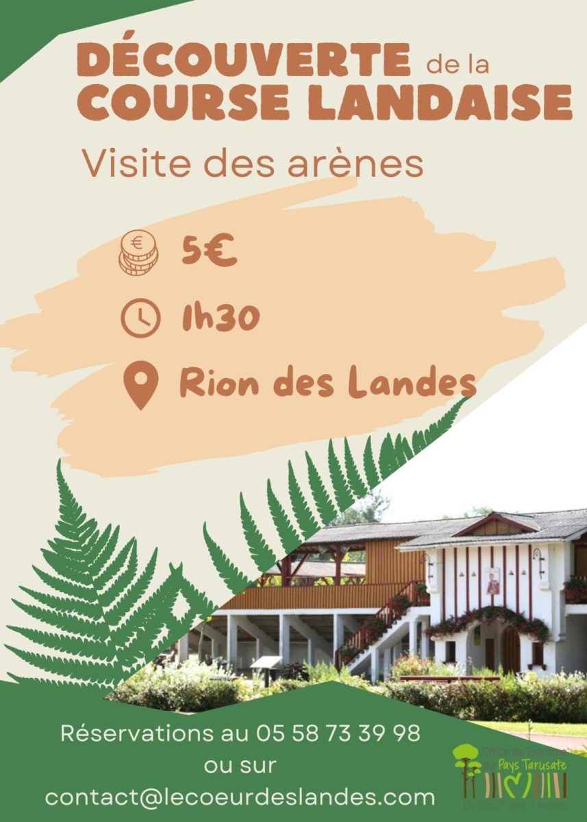 La Visite Des Ar Nes De Rion Des Landes Rion Des Landes Le