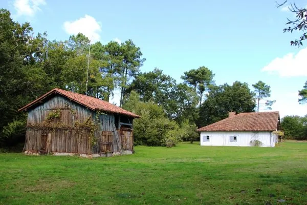 Un Airial Landais | Tourisme Landes