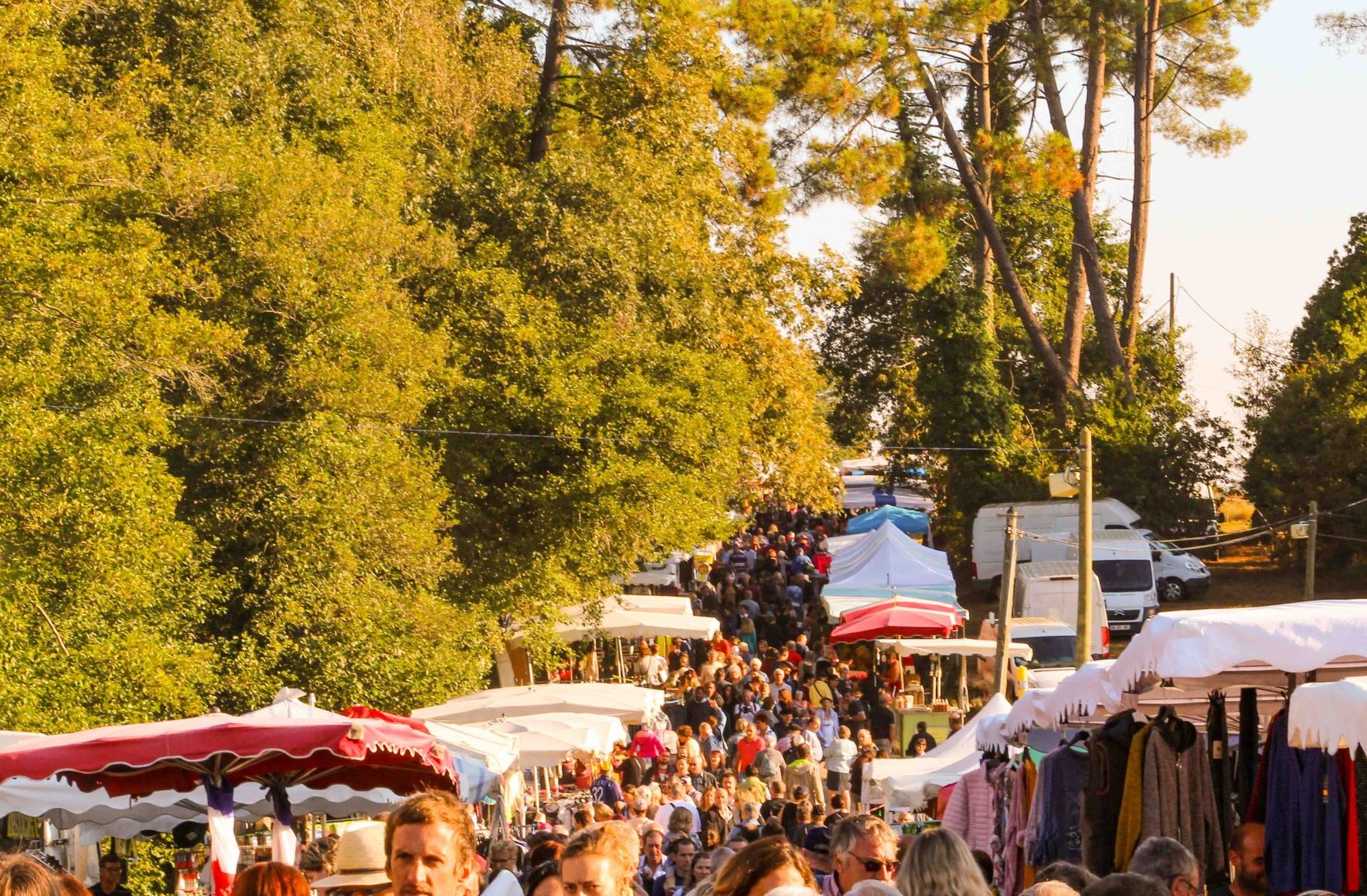 Foire de la SaintMichel à OusseSuzan Tourisme Landes