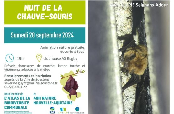 Nuit de la chauve-souris Le 28 sept 2024