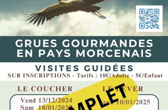 Les grues gourmandes en Pays Morcenais - Le coucher COMPLET