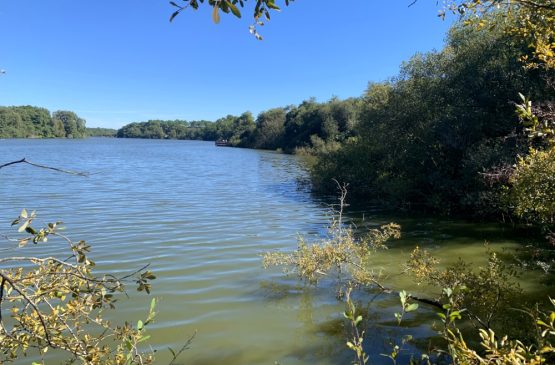 Les 50 ans de la Réserve Naturelle de l