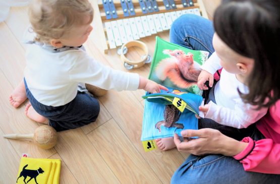 Bébés lecteurs Le 12 nov 2024