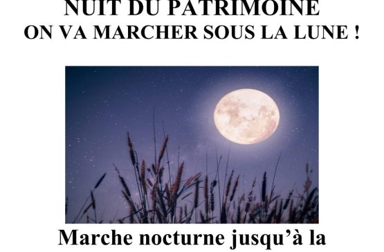 On a marché sous la Lune