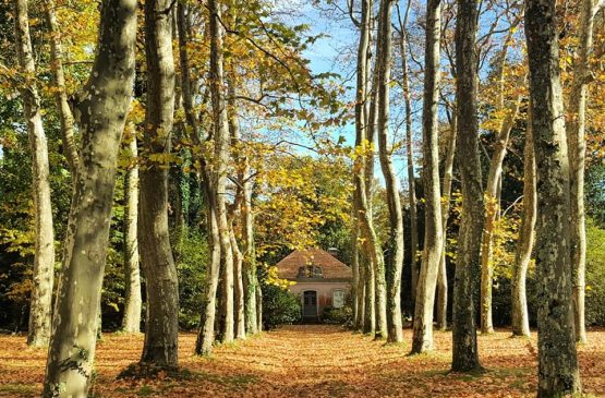 Visite Maison de Pierre Benoit