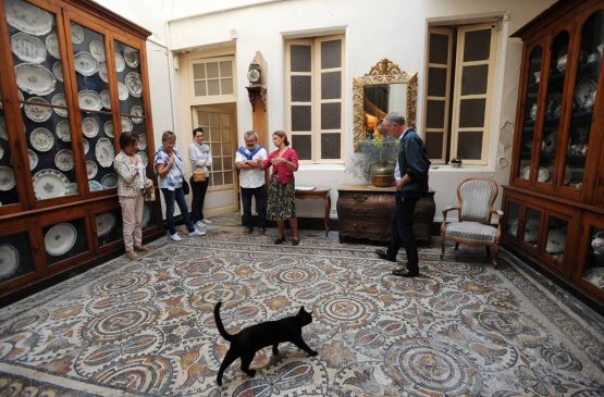 Visite du musée et de la Maison du Dr Sentex Du 17 sept au 29 oct 2024