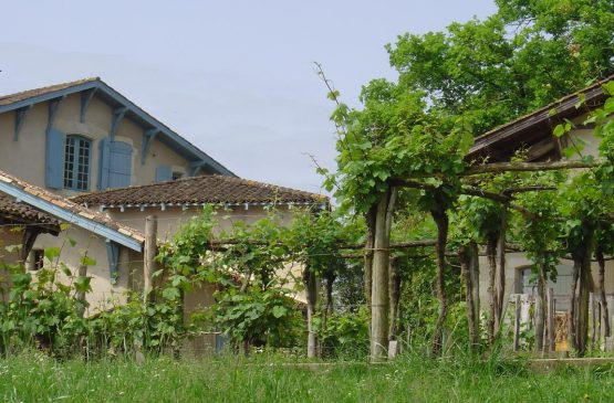 Visite privilège au Musée de la Chalosse