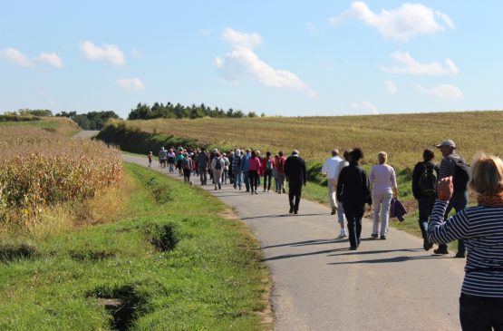 Marche des vignerons Le 5 oct 2024