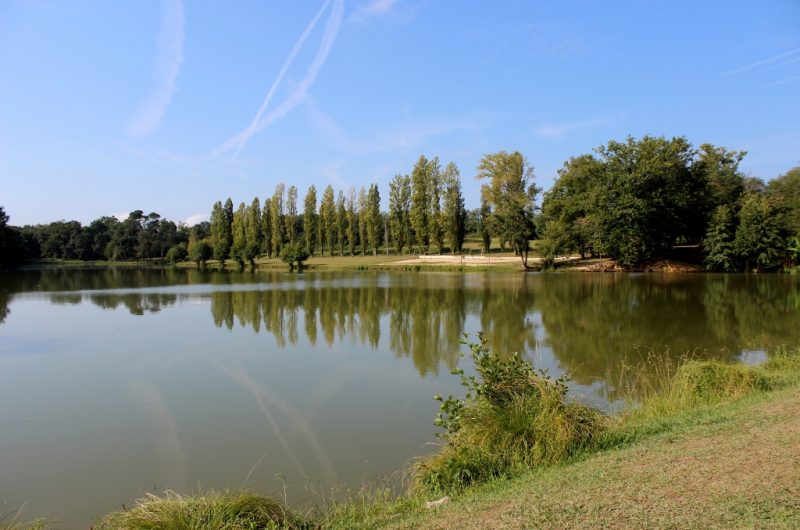 Lac de Luc in POUILLON | Marshes, lakes in the Landes