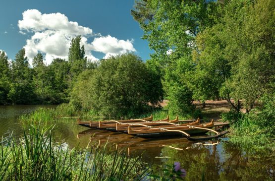 Octobre rose : Bien être en pirogue Le 5 oct 2024