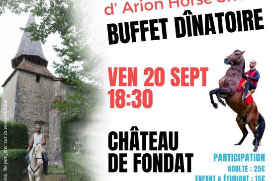 Spectacle équestre : Arion Horse Show Le 20 sept 2024