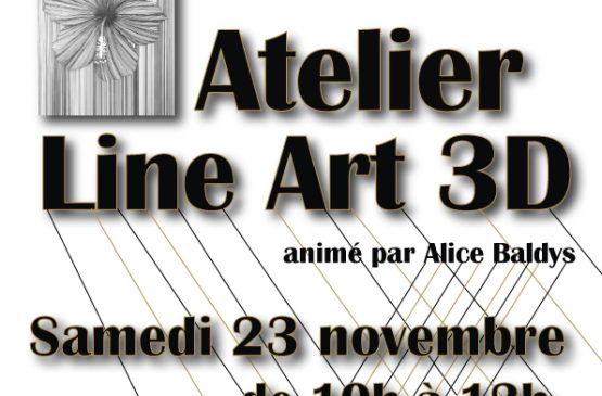 Atelier Line Art 3D Le 23 nov 2024