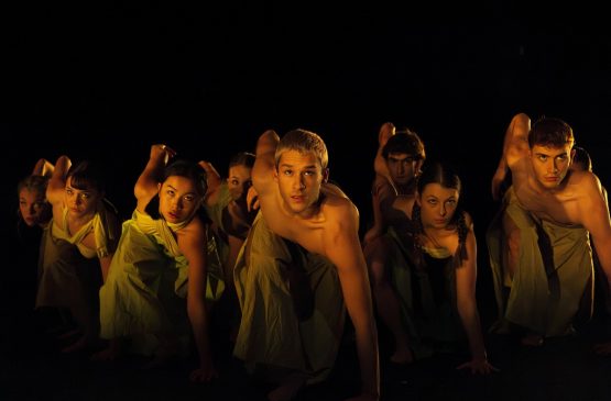 Mois de la danse - Compagnie Dantzaz partenariat Malandain Ballet... Le 26 nov 2024