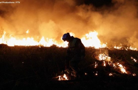 Mois du doc : Les Gardiens de la forêt des Landes Le 9 nov 2024