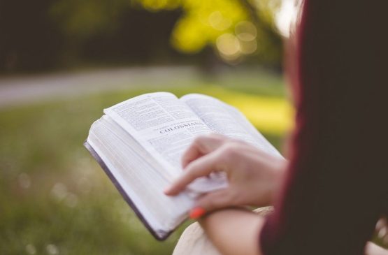 Rendez-vous lecture 