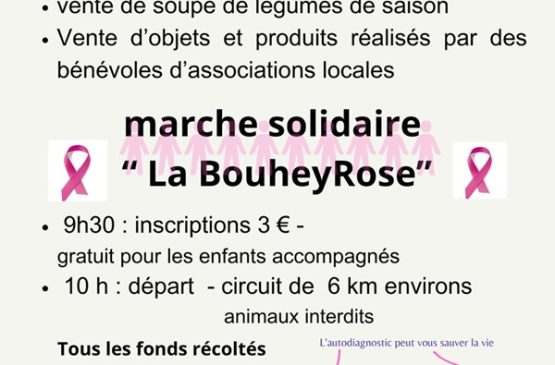 Marche solidaire - La Bouheyrose