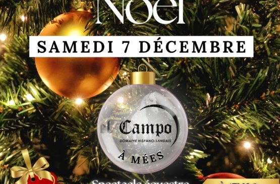 Soirée de Noël au Domaine El Campo à Mées Du 7 au 9 déc 2024