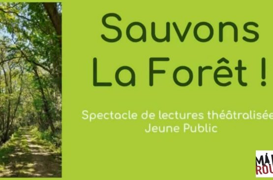 Sauvons la forêt Le 22 oct 2024